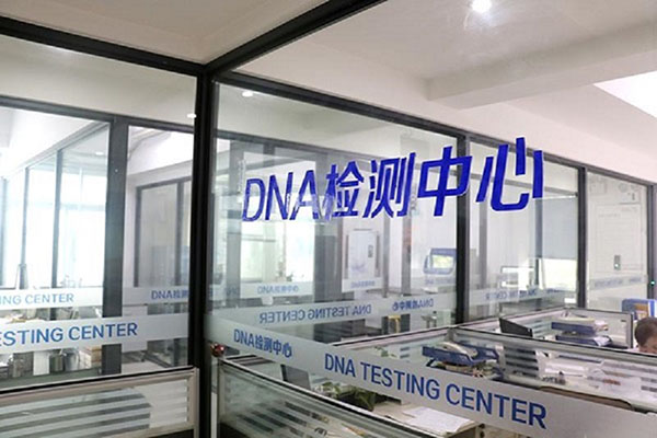 γ޴DNAӼ